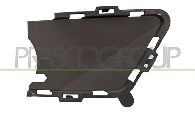 Prasco Lüftungsgitter, Stoßfänger [Hersteller-Nr. BM0292104] für BMW