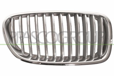 Prasco Kühlergitter [Hersteller-Nr. BM0492013] für BMW