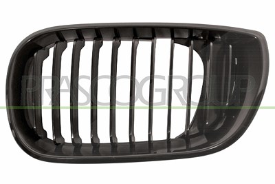 Prasco Kühlergitter [Hersteller-Nr. BM0202024] für BMW