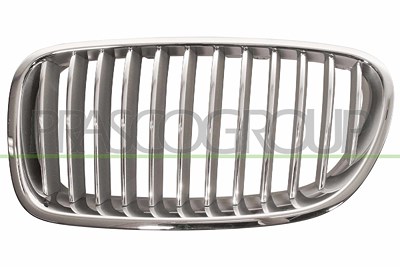 Prasco Kühlergitter [Hersteller-Nr. BM0492014] für BMW
