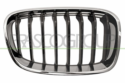 Prasco Kühlergitter [Hersteller-Nr. BM1232023] für BMW