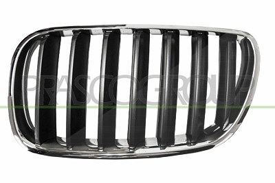 Prasco Kühlergitter [Hersteller-Nr. BM8032024] für BMW