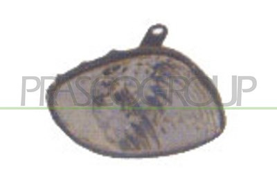 Prasco Blinkleuchte [Hersteller-Nr. TY0874013] für Toyota