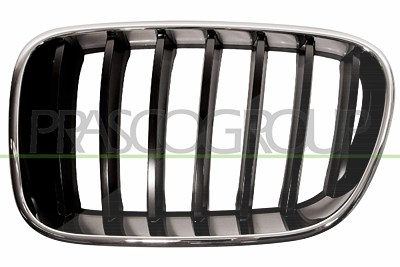 Prasco Kühlergitter [Hersteller-Nr. BM8042004] für BMW