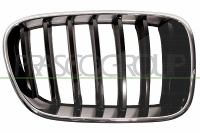 Prasco Kühlergitter [Hersteller-Nr. BM8042003] für BMW