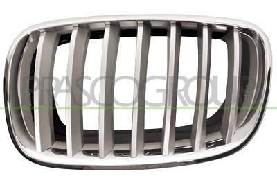 Prasco Kühlergitter [Hersteller-Nr. BM8222014] für BMW