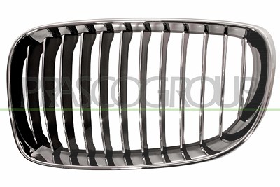 Prasco Kühlergitter [Hersteller-Nr. BM1212024] für BMW