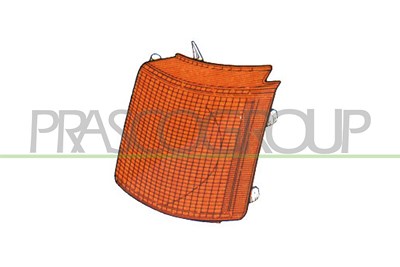 Prasco Blinkleuchte [Hersteller-Nr. FD9044004] für Ford