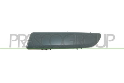 Prasco Zier-/Schutzleiste, Stoßfänger [Hersteller-Nr. RN3081254] für Renault
