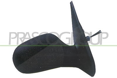Prasco Außenspiegel [Hersteller-Nr. RN3207313] für Renault
