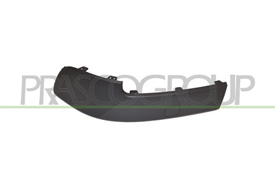 Prasco Zier-/Schutzleiste, Stoßfänger [Hersteller-Nr. RN0321243] für Renault