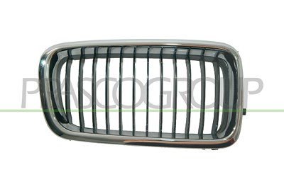 Prasco Kühlergitter [Hersteller-Nr. BM0982003] für BMW