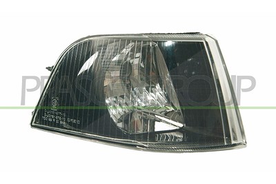 Prasco Blinkleuchte [Hersteller-Nr. VV0294123] für Volvo