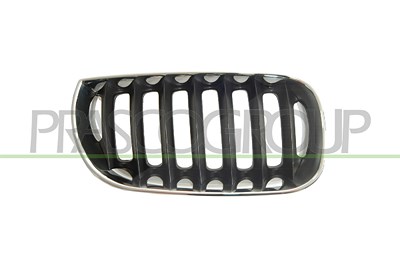 Prasco Kühlergitter [Hersteller-Nr. BM8022003] für BMW