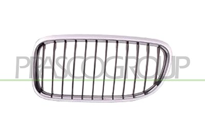 Prasco Kühlergitter [Hersteller-Nr. BM0262004] für BMW