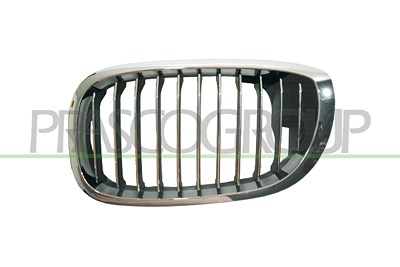 Prasco Kühlergitter [Hersteller-Nr. BM0212014] für BMW