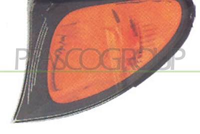 Prasco Blinkleuchte [Hersteller-Nr. BM0204004] für BMW