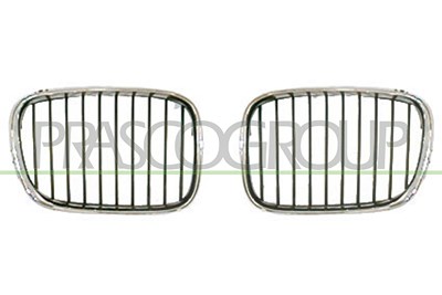 Prasco Kühlergitter [Hersteller-Nr. BM0452003] für BMW