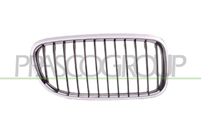 Prasco Kühlergitter [Hersteller-Nr. BM0262003] für BMW