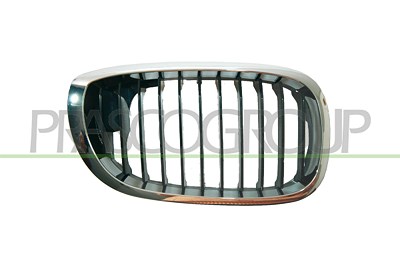 Prasco Kühlergitter [Hersteller-Nr. BM0212003] für BMW