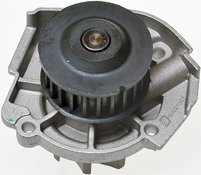 Denckermann Wasserpumpe, Motorkühlung [Hersteller-Nr. A310923P] für Ford, Fiat, Lancia, Jeep, Alfa Romeo, Abarth, Opel