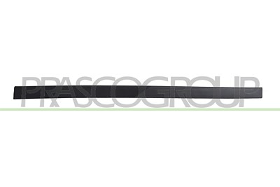 Prasco Zier-/Schutzleiste, Tür [Hersteller-Nr. HN8061403] für Hyundai