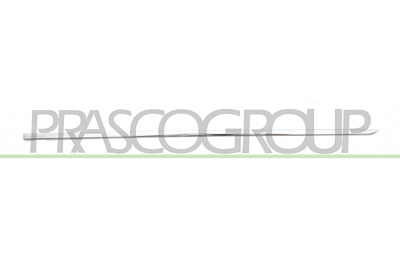 Prasco Zier-/Schutzleiste, Tür [Hersteller-Nr. ME0431453] für Mercedes-Benz