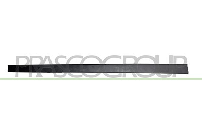 Prasco Zier-/Schutzleiste, Tür [Hersteller-Nr. HN8061404] für Hyundai