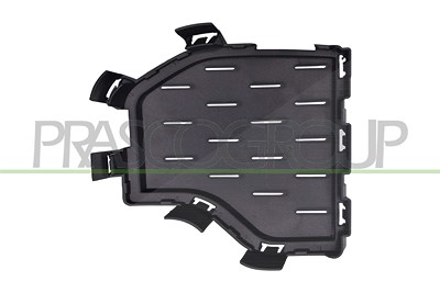 Prasco Lüftungsgitter, Stoßfänger [Hersteller-Nr. BM8292104] für BMW