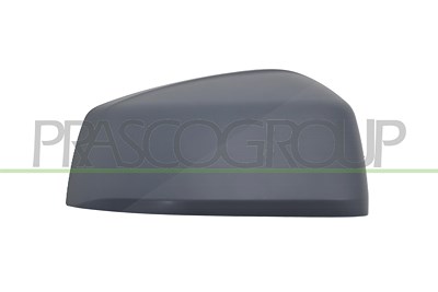 Prasco Abdeckung, Außenspiegel [Hersteller-Nr. VG8617413] für Ford, VW