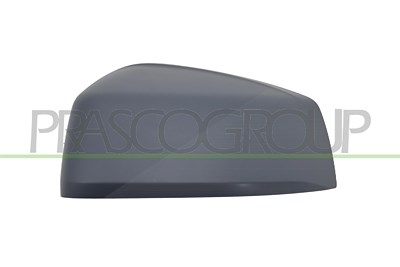 Prasco Abdeckung, Außenspiegel [Hersteller-Nr. VG8617414] für VW, Ford