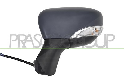 Prasco Außenspiegel [Hersteller-Nr. RN7007314] für Renault